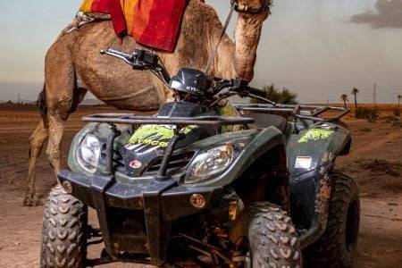 Agafay Desert Adventure: Quad Biking, Camel Ride, and Dinner Show with Private transport